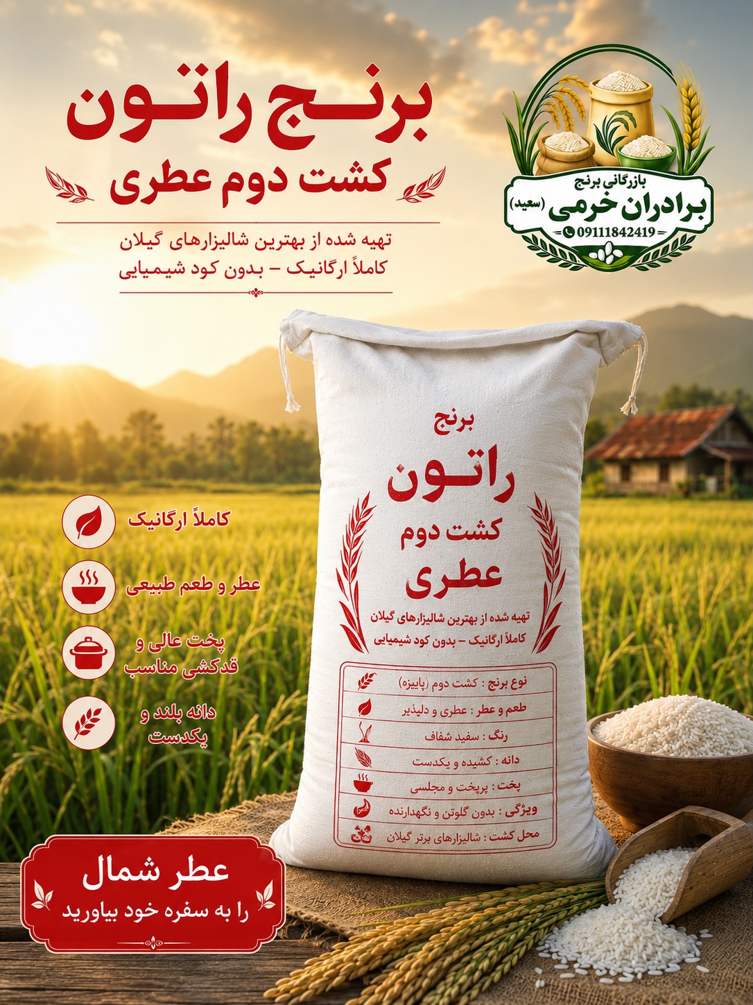 برنج راتون کشت دوم عطری