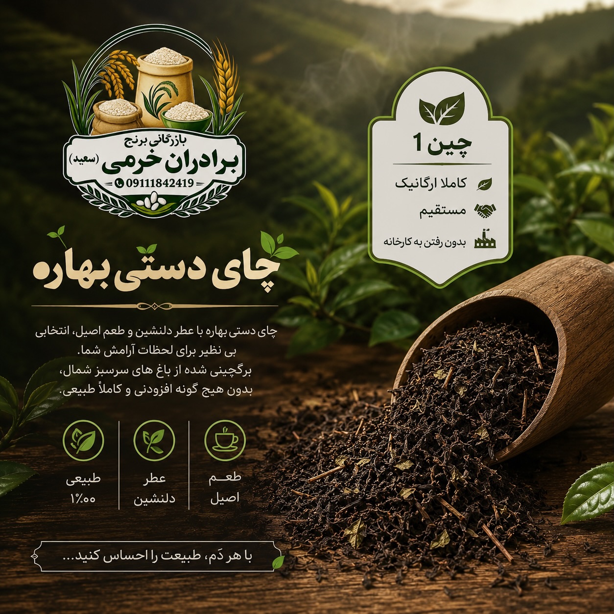 چای سیاه دستی بهاره گیلان چین اول